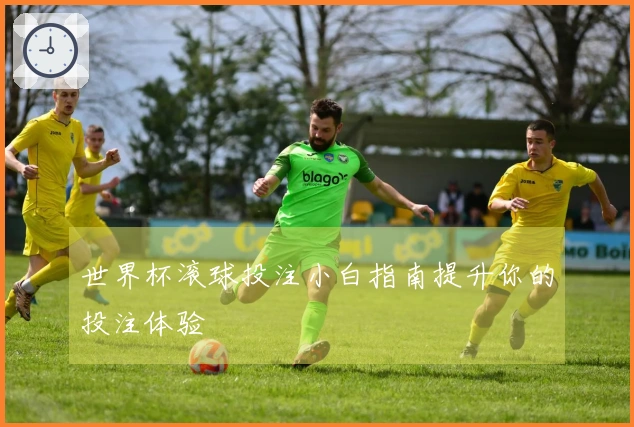 世界杯滚球投注小白指南提升你的投注体验