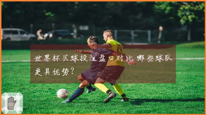 世界杯买球投注盘口对比 哪些球队更具优势？