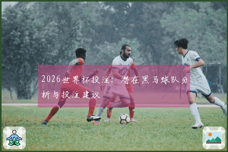 2026世界杯投注：潜在黑马球队分析与投注建议