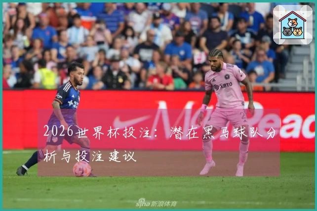 2026世界杯投注：潜在黑马球队分析与投注建议
