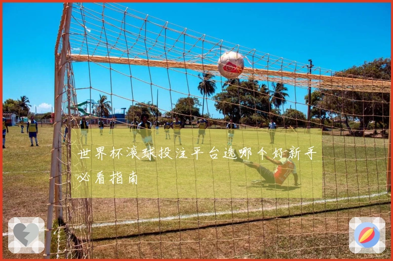 世界杯滚球投注平台选哪个好新手必看指南