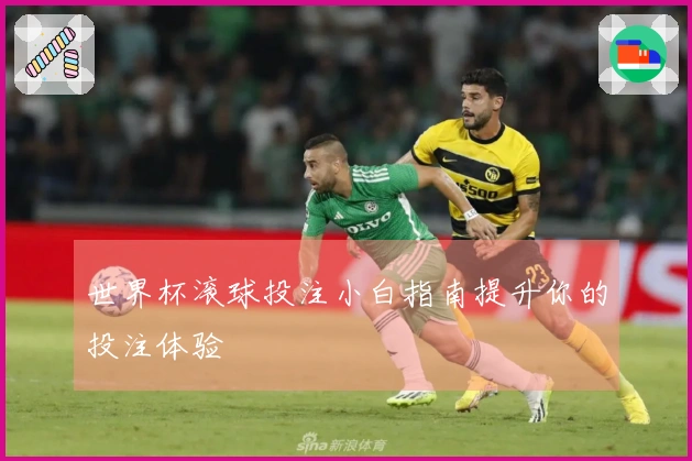 世界杯滚球投注小白指南提升你的投注体验
